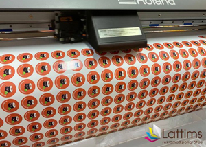 Reklamnoe agenstvo Lattims shirokoformatnaja pechatj